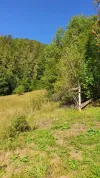 Building land For Sale - 517680 Scărisoara  RO Thumbnail 9